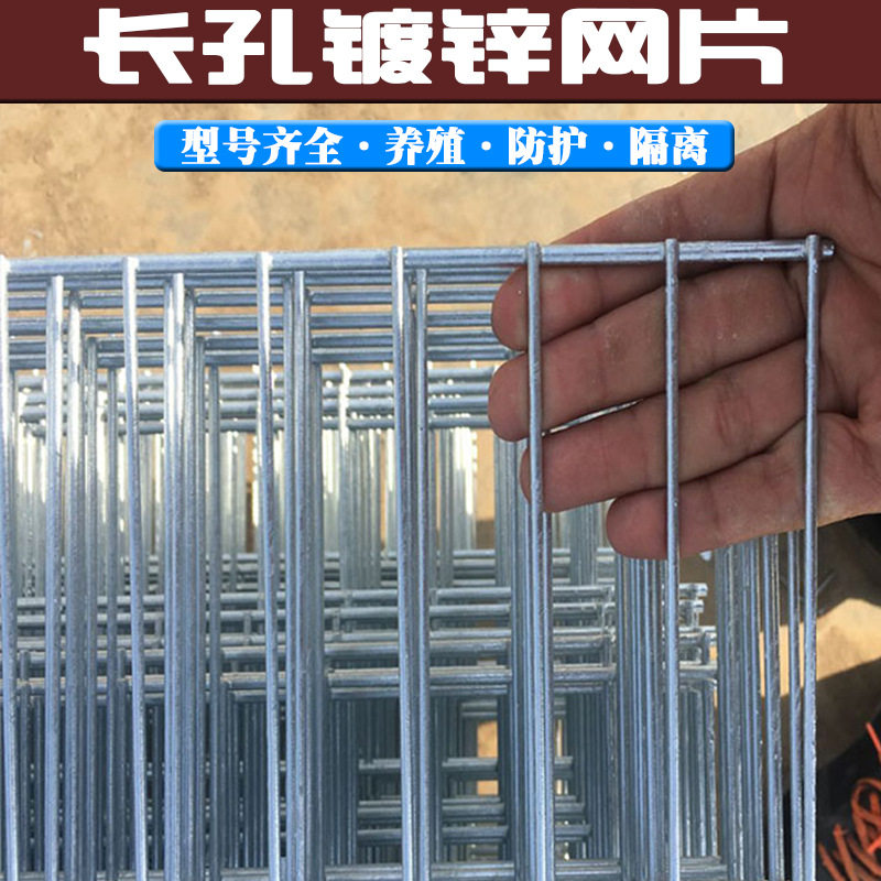 热销新品长孔铁丝网围栏防护网镀锌网片网格小孔鸽舍鸟笼狗笼子养