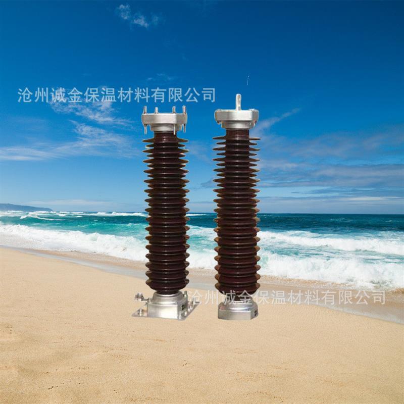 热销瓷外套交流氧化锌避雷器 220kV陶瓷避雷器 Y10W-204/532电站