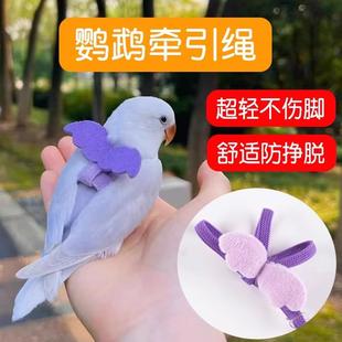 遛鸚鵡牽引繩外出放飛繩背帶超輕小太陽玄鳳小鳥專用遛鳥神器玩具