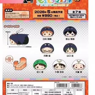 vol6 Japan 玩偶服趴趴 毛绒公仔挂件 排球少年 限购五件定金