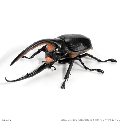 [现货]万代扭蛋玩具生物