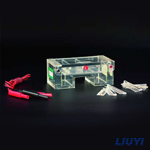 。北京六一DYCP-31C/32C/32B/32A/31E/31DN/31CN型琼脂糖水平电泳