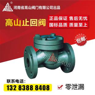软密封法兰止回阀DN253240 25升降式 高山牌四氟密封止回阀H41F