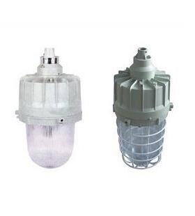 【特价甩卖】防爆无极灯/BAD81-65W/85W/125W系列防爆灯 (含光源)