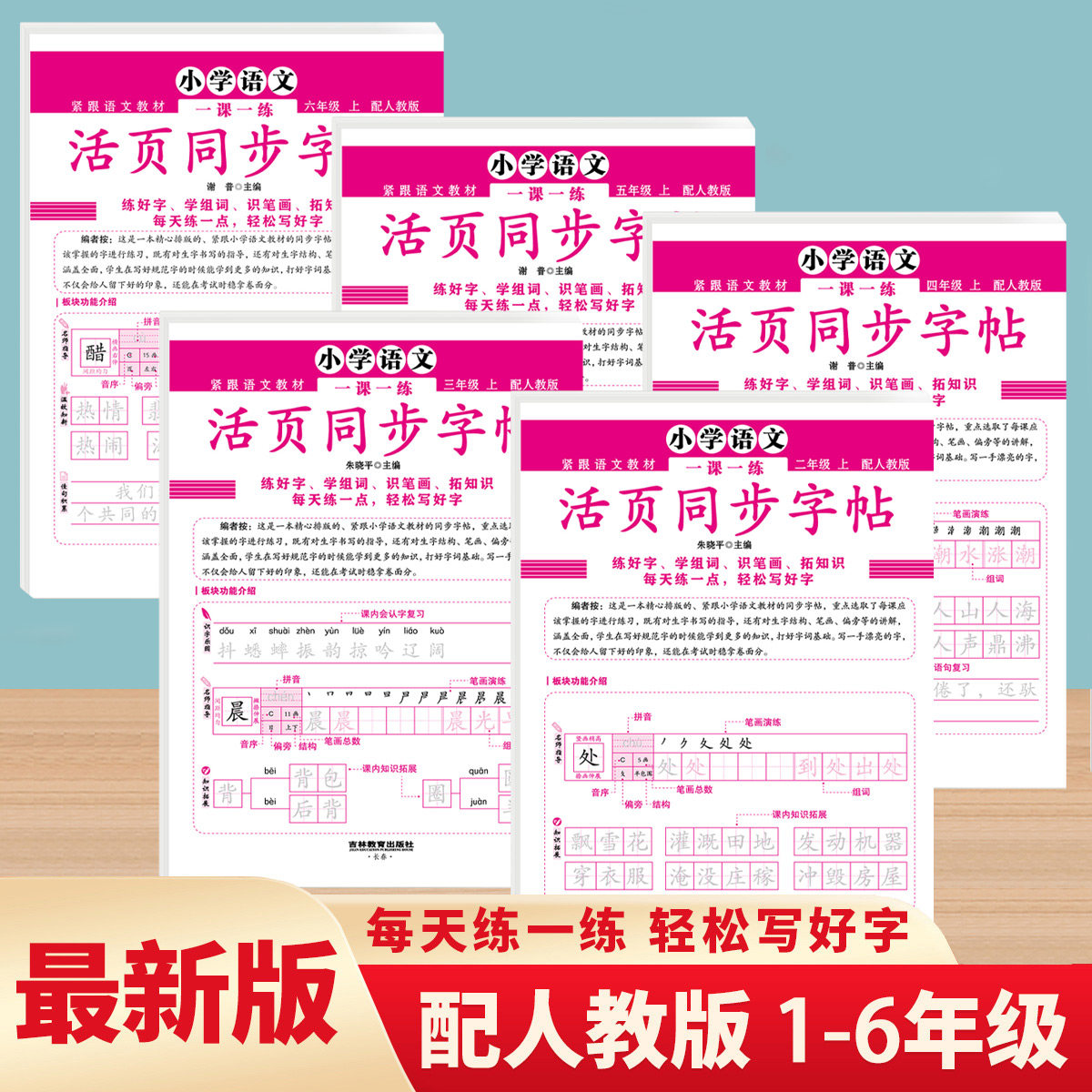 2024新版 小学语文一课一练活页同步字帖 1-6年级 每天一练 轻松写好字 紧跟语文教材 配人教版