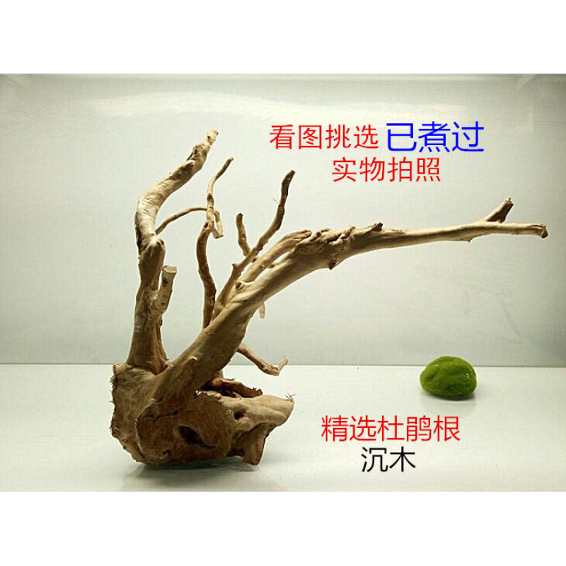 沉木造景鱼缸已煮杜鹃根沉木莫斯树流木雨林爬宠箱摆件草缸装饰