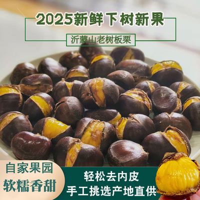 2025新货沂蒙山黄心油栗现摘