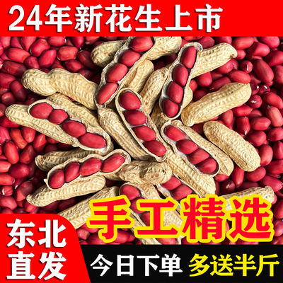 东北红皮花生2024年农家新鲜带壳生四粒红花生米自种晒干炒货原味