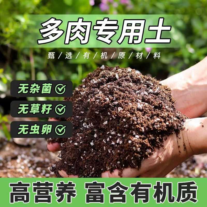 多肉植物专用土，控养麦饭石铺面单一介质/营养土