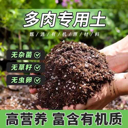 多肉植物专用土，控养麦饭石铺面颗粒石垫底专用陶粒老桩颗粒土