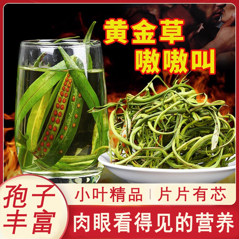 肾精茶冲泡黄金草化石草经男士专用滋补茶