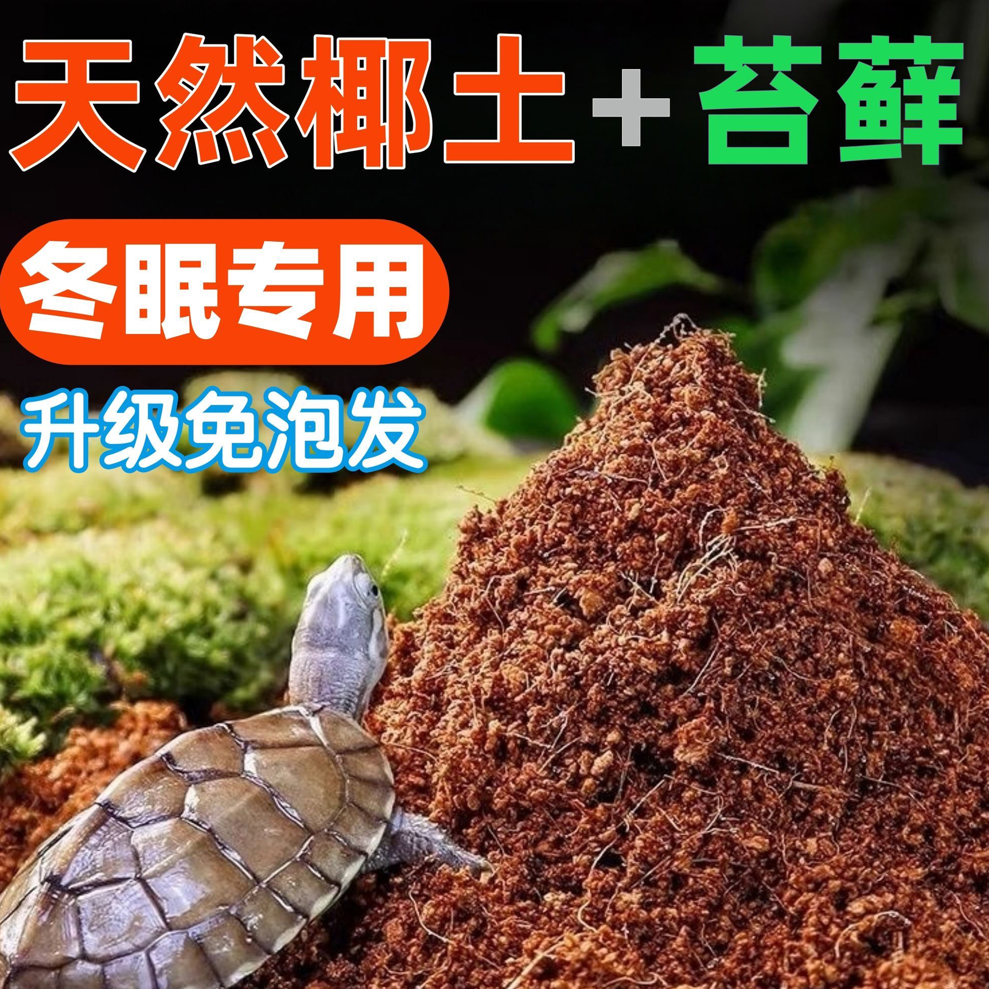 【买椰土送苔藓】乌龟冬眠用品