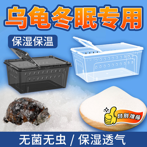 乌龟角蛙蜗牛蜥蜴蜘蛛蝎子饲养缸