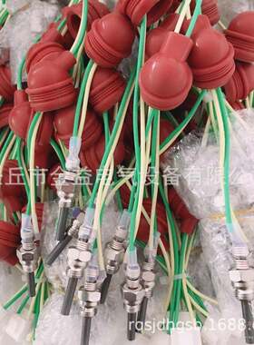 驻车加热器点火塞柴暖油泵车载暖风机转换器消声器进口点火塞