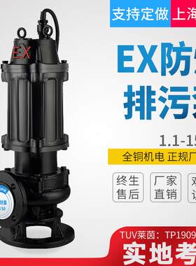 BQW防爆污水泵380V三相潜水排污泵220V大流量污水泵矿用EX排污泵