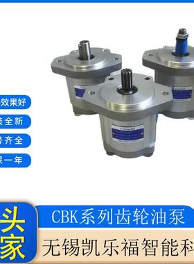 长江系列齿轮油泵CBK1004-B1FR油泵液压站油泵