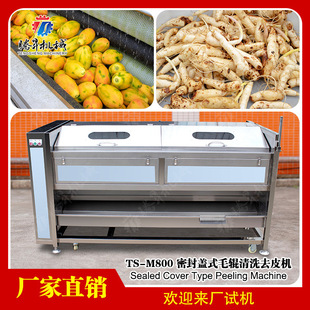 腾昇厂家供应生姜芋头毛芋清洗机 尺寸可定 多功能毛辊去皮