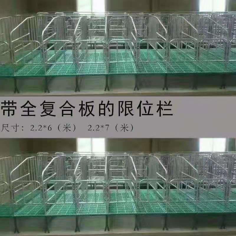 母猪定位栏落地式限位栏带复合漏粪板母猪定位栏