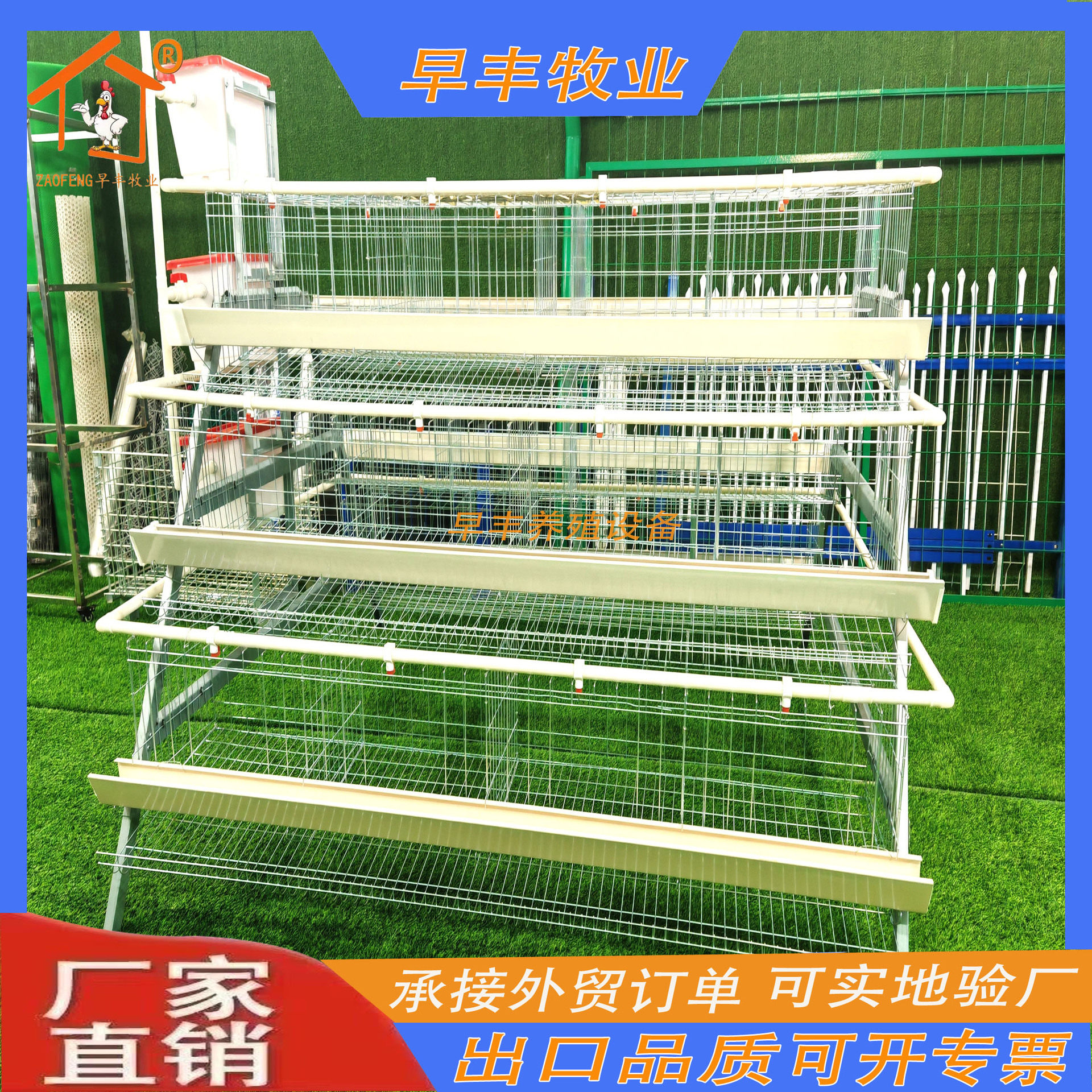 鸡笼家用蛋鸡养殖设备三层阶梯蛋鸡笼冷镀锌热镀自动饮水自动清粪