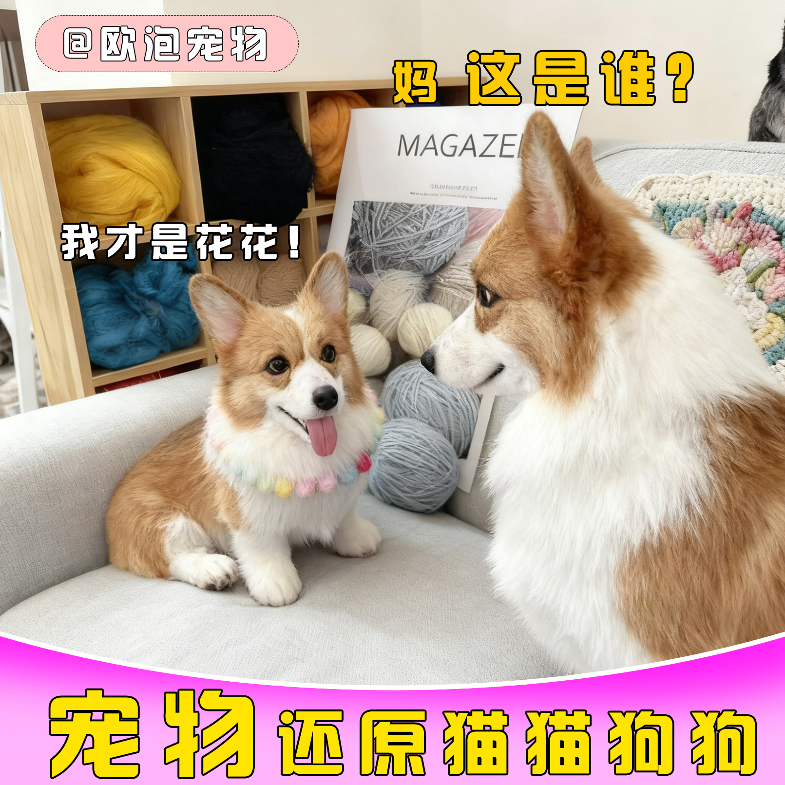 欧泡羊毛毡宠物定制仿真模型照片猫咪玩偶纯手工柯基狗狗离世纪念