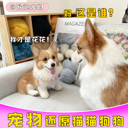 欧泡羊毛毡宠物定制仿真模型照片猫咪玩偶纯手工柯基狗狗离世纪念