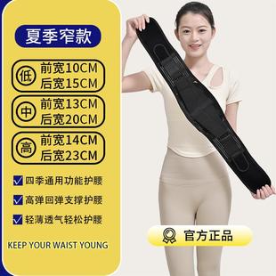 夏季 专用护腰带 薄款 护腰带钢板支撑腰椎间盘劳损久坐腰部不适窄款