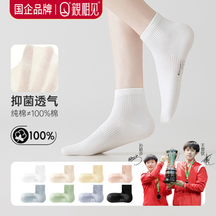 爆款 袜子女款 2025新款 薄款 纯棉抗菌网眼透气夏天女士棉袜 短袜夏季