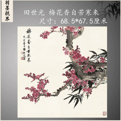 田世光梅花香自苦寒来工笔花鸟