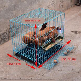 鸡笼家用养殖鸡笼阳台土蛋鸡笼子自动滚蛋大号鸡窝母鸡折叠宠物