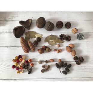 新款松果装饰木丝天然树叶杨桃核菩提叶籽手工diy干花包拍摄道具