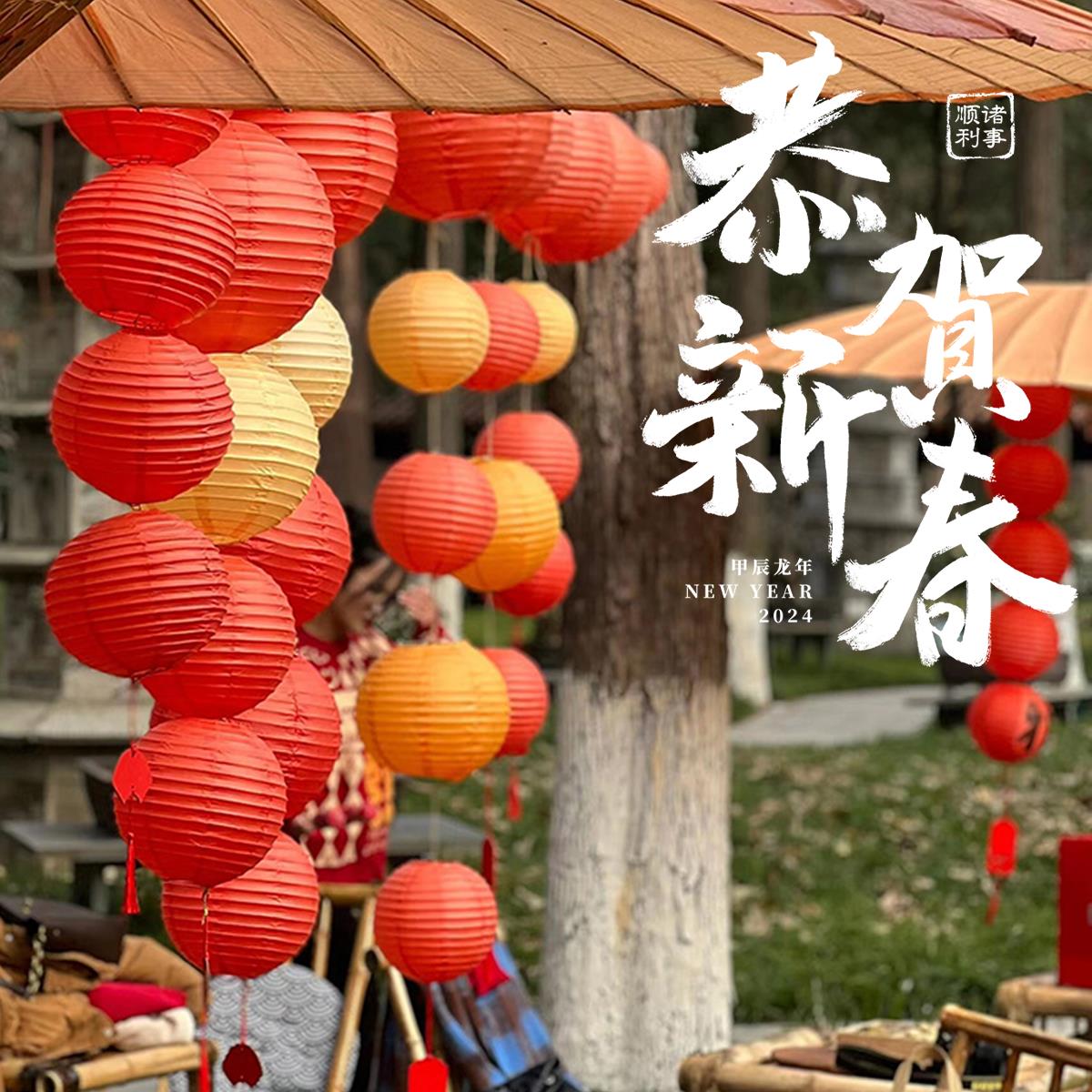 灯笼2025新款新年diy红纸灯笼春节过年家用蛇年商店门口布置装饰