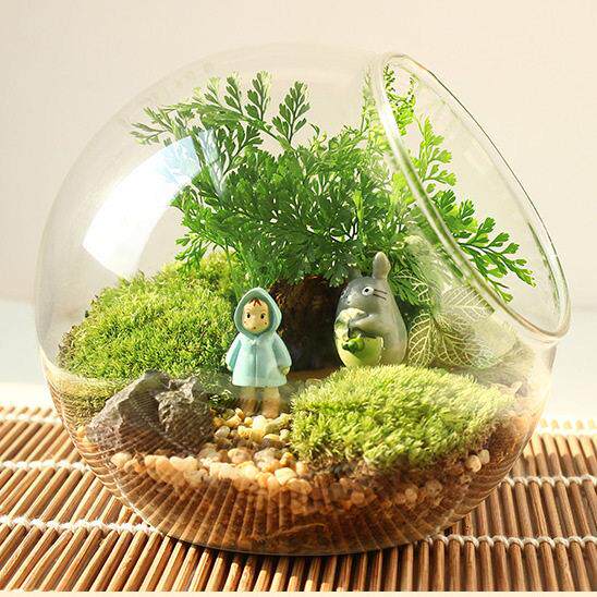 微景观倾斜玻璃花瓶苔藓多肉植物生态瓶高透明圆形平底底倾斜球鱼