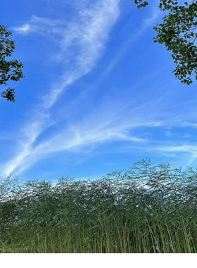 真的好用8090后怀旧铺一分钱素材