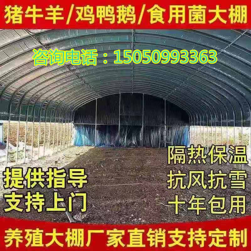 热销大棚钢管骨架养殖鸡鸭鹅猪牛羊大棚全套种植家用温室大棚