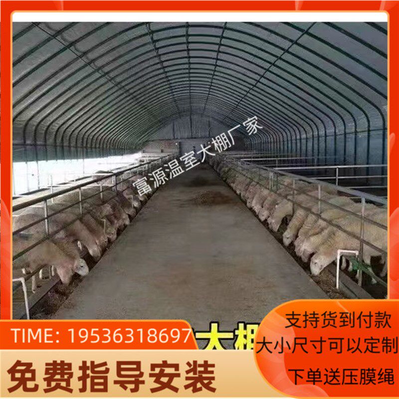 热销温室大棚骨架钢管养殖种植家用猪牛羊舍连体棚椭圆管圆管保温