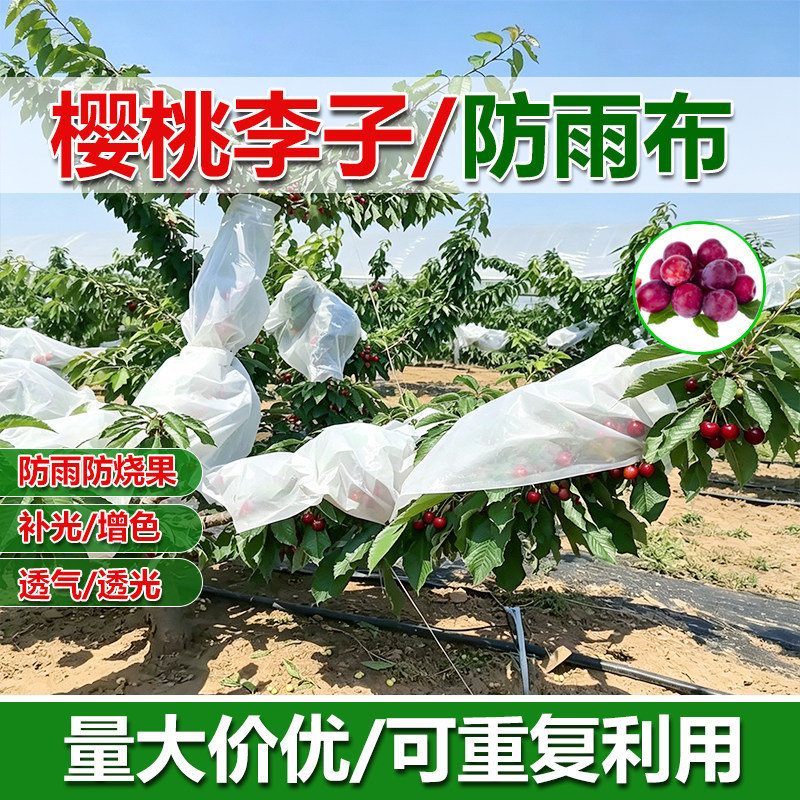 果树防雨布拒雨遮雨避雨布脆李桃子葡萄果园耐用透气防水透光气布