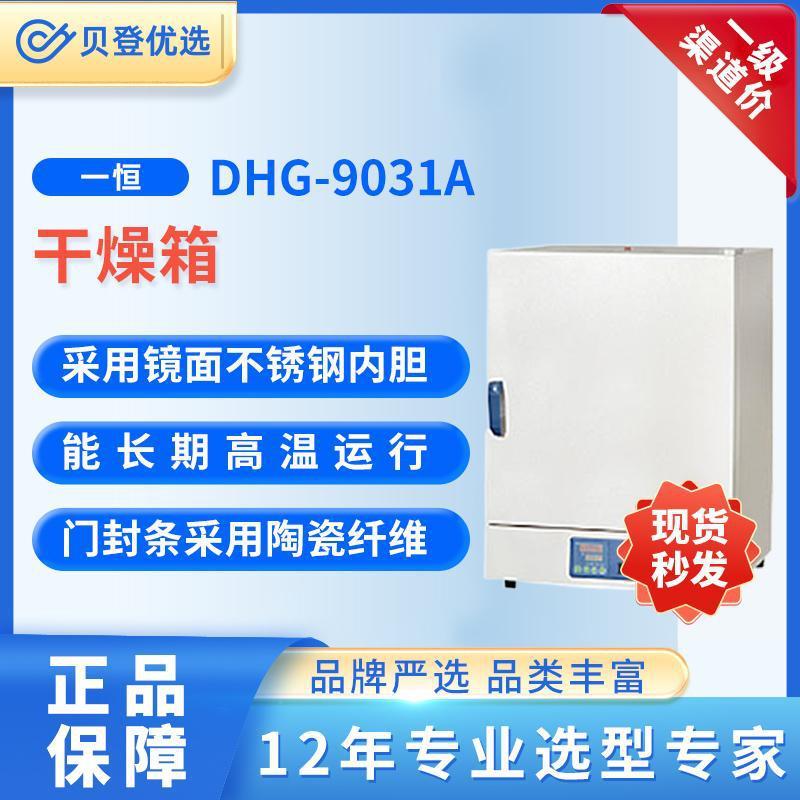 干燥箱DHG-9031A