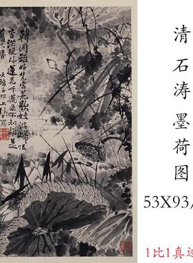 石涛墨荷图复古书画水墨花卉国