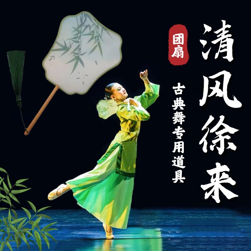 清风徐来舞蹈扇演出跳舞专用团扇图片