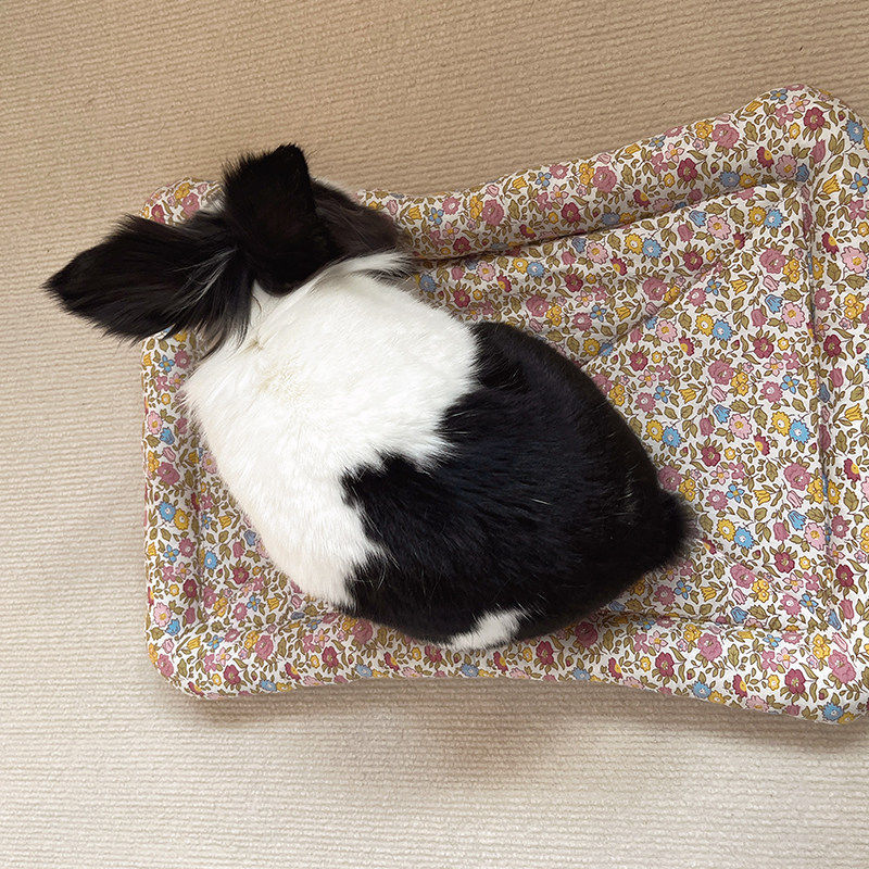 用品垫子笼子宠物兔子脚垫荷兰猪龙猫豚鼠底板塑料啃咬