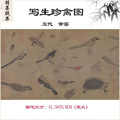 11五代黄筌写生珍禽图卷绢本高清