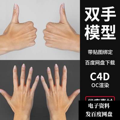 C4D双手模型素材3D左右手掌手臂模型带骨骼绑定高清贴图人物手势