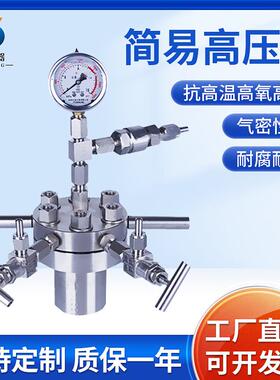 小型简易不锈钢反应釜25ml-0.5L氢化高压反应釜磁力搅拌