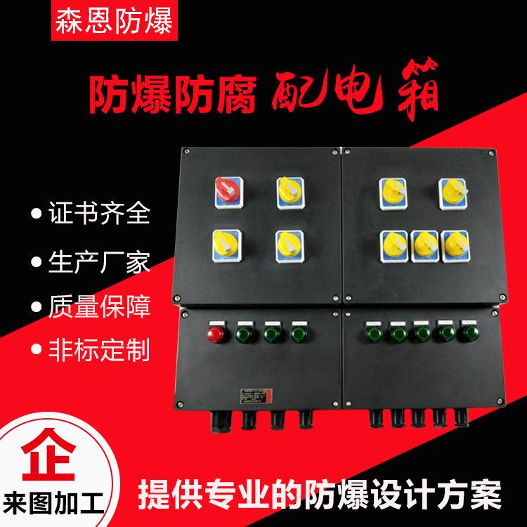 防爆防腐配电箱工程塑料防腐照明动力配电箱三防防爆操作箱厂家