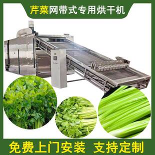 带式芹菜烘干机大型香芹干芹菜茎干烘干设备全自动芹菜段干燥机