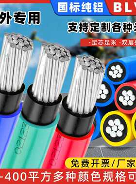 国标blvv双皮铝芯电线10/16/25/35/50/70/95/120平方铝电缆线