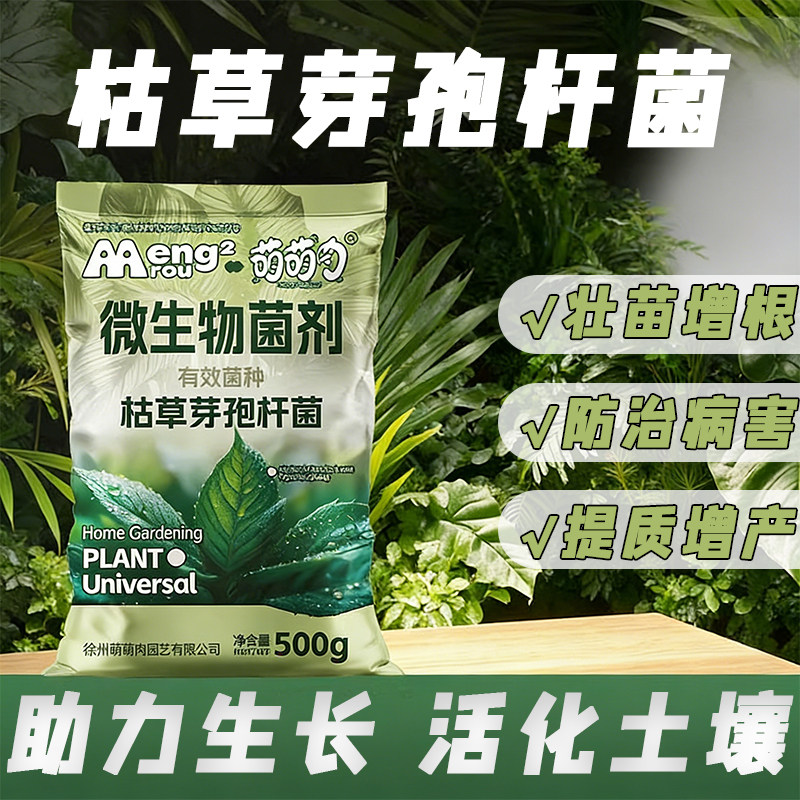 枯草芽孢杆菌微生物菌肥改良土壤