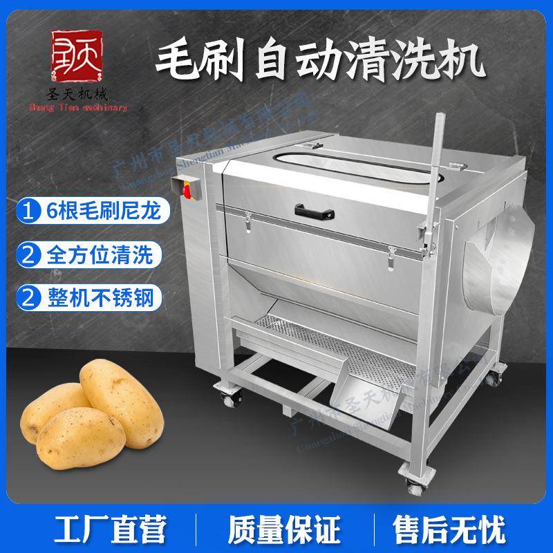 商用毛辊清洗去皮机根茎类土豆红薯胡萝芋头全方面清洗一机多用