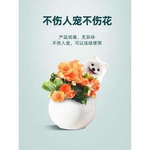 千百季锐丽噻虫胺杀虫剂花卉植物月季花常用药小黑飞蓟马蚜虫花药