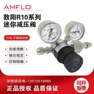 R10LA AMFLO R10LG R10LB 系列 敦阳R10迷你减压器